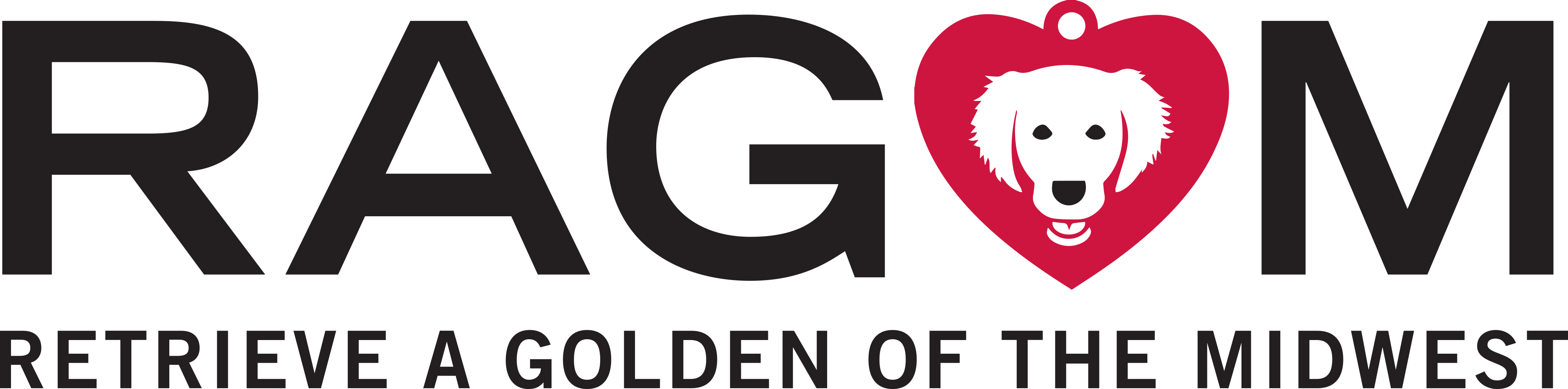 Retrieve a Golden of the Midwest